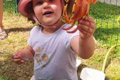 IMG-20250624-WA0065