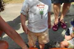 IMG-20250624-WA0070