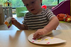 IMG-20250826-WA0006