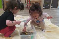 IMG-20250901-WA0013