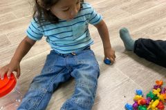 IMG-20250904-WA0002