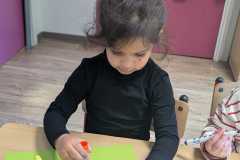 IMG-20260512-WA0012