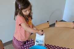 IMG-20260601-WA0009