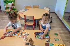 IMG-20260610-WA0017