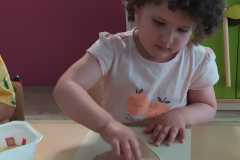 IMG-20250702-WA0027