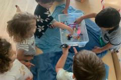 IMG-20250703-WA0035