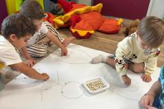 IMG-20250708-WA0005
