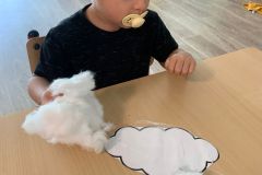 IMG-20250709-WA0004