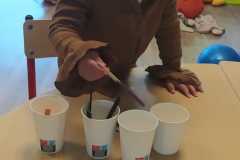 IMG-20250509-WA0005