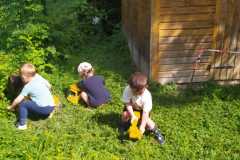 IMG-20250603-WA0011