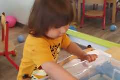 IMG-20250610-WA0006