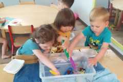 IMG-20250610-WA0007