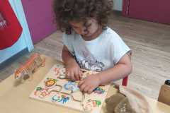IMG-20250612-WA0006