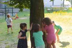 IMG-20250620-WA0018