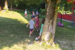 IMG-20250620-WA0019