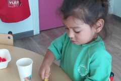 IMG-20250625-WA0021