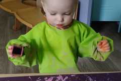 IMG-20260512-WA0017