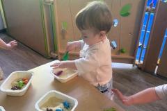 IMG-20260531-WA0005