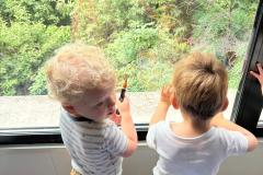 IMG-20250707-WA0029
