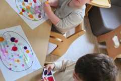 IMG-20250506-WA0005