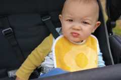 IMG-20250519-WA0008