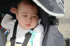 IMG-20250519-WA0009
