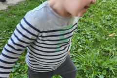 IMG-20250606-WA0009