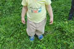 IMG-20250606-WA0012