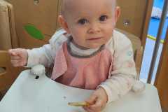 IMG-20250611-WA0004