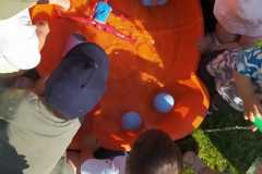 IMG-20250617-WA0003