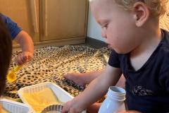 IMG-20250624-WA0016
