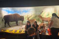 IMG-20250515-WA0000
