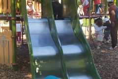 IMG-20250515-WA0005