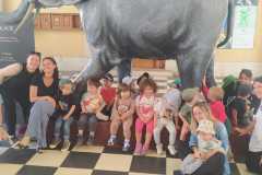 IMG-20250515-WA0008