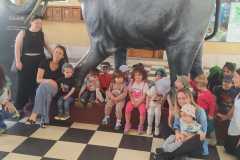 IMG-20250515-WA0009