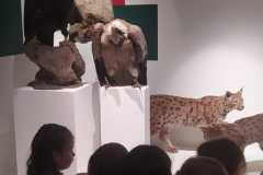 IMG-20250515-WA0010