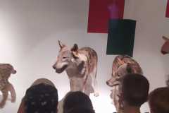 IMG-20250515-WA0011