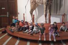 IMG-20250515-WA0012