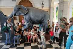 IMG-20250515-WA0015
