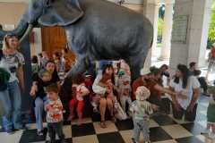 IMG-20250515-WA0016