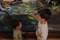 IMG-20250515-WA0017