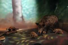 IMG-20250515-WA0018
