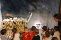 IMG-20250515-WA0020