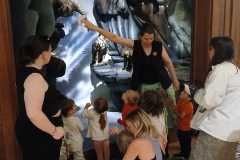 IMG-20250515-WA0021