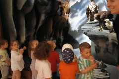 IMG-20250515-WA0024