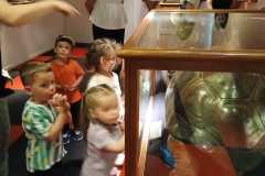 IMG-20250515-WA0026