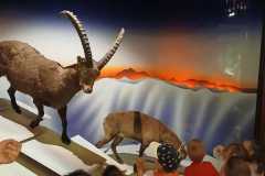 IMG-20250515-WA0028