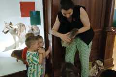 IMG-20250515-WA0033
