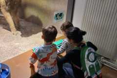 IMG-20250515-WA0034