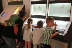 IMG-20250515-WA0037